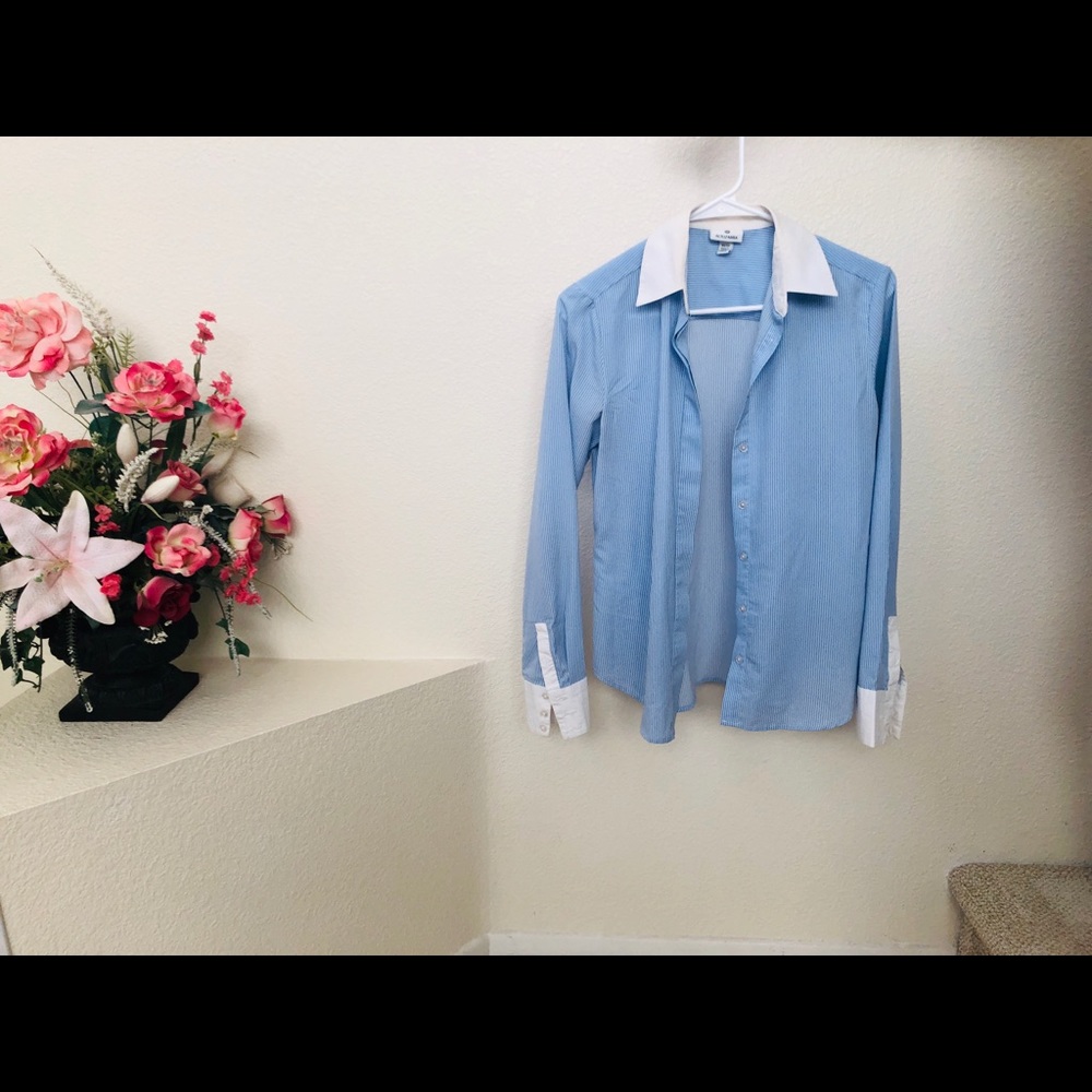 Altuzarra for Target white/blue stripe shirt